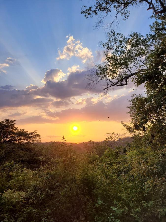 Hotel Cocolhu Tamarindo Zewnętrze zdjęcie